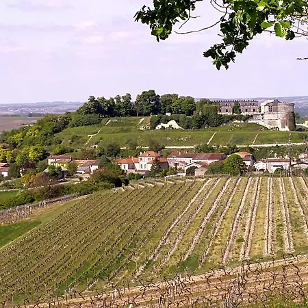 Fleurs De Vigne, Charentais Au Grand Coeur