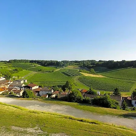 Hotell Fleurs De Vigne, Charentais Au Grand Coeur Segonzac (Charente)