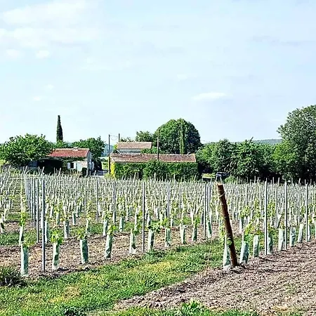 Fleurs De Vigne, Charentais Au Grand Coeur Hotell 5*